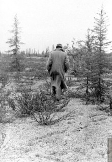 Уренгой. Яростный стройотряд