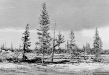 Уренгой. Яростный стройотряд