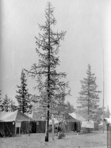 Уренгой. Яростный стройотряд