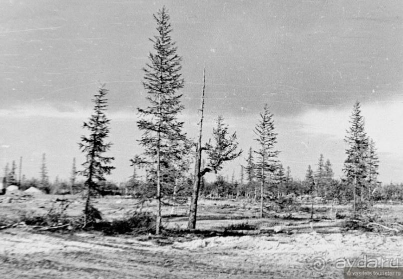 Уренгой. Яростный стройотряд