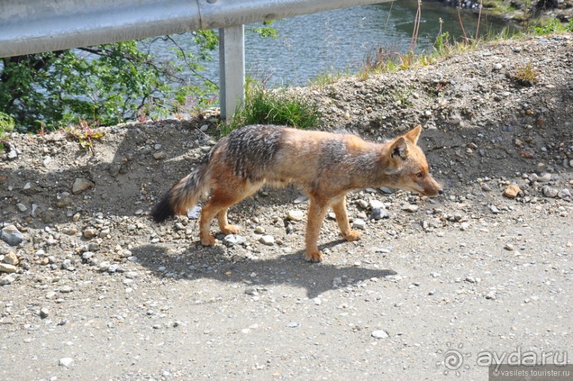 Через весь мир в Антарктику