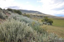 Через весь мир в Антарктику