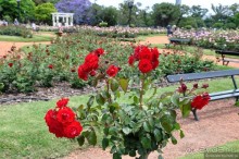 Через весь мир в Антарктику