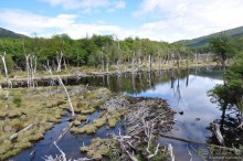 Через весь мир в Антарктику
