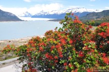 Через весь мир в Антарктику