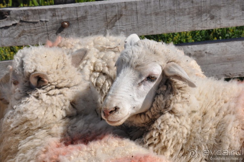 Через весь мир в Антарктику