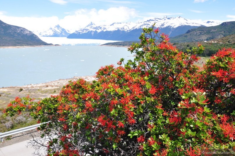 Через весь мир в Антарктику