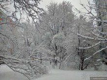 Альбом отзыва "Москва, зима и тур-халява"