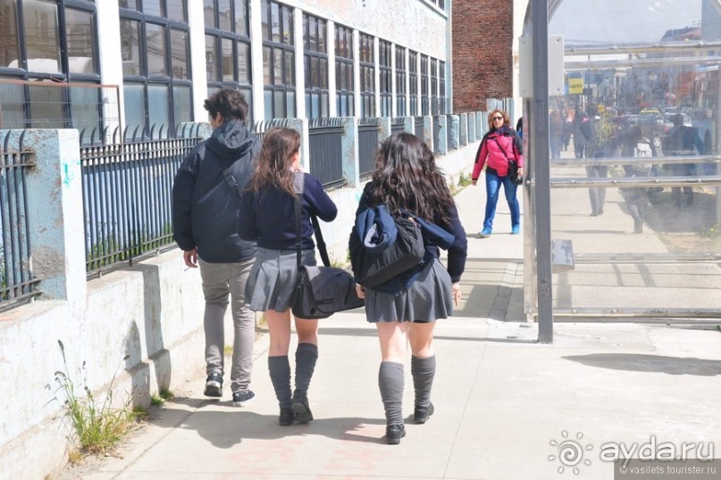 Случайно в Пунта-Аренасе...