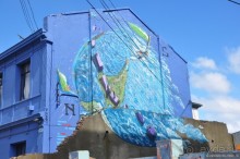 Случайно в Пунта-Аренасе...