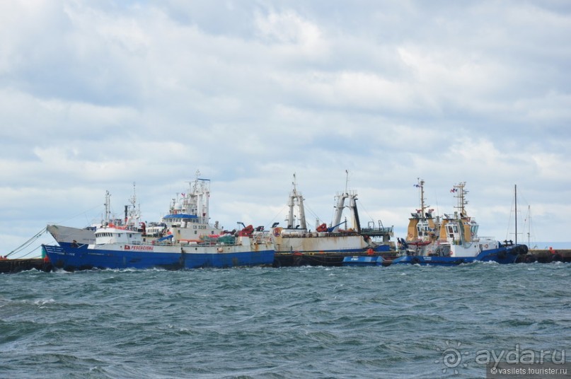 Случайно в Пунта-Аренасе...