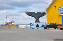 Случайно в Пунта-Аренасе...