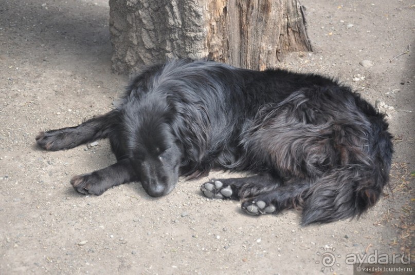 Случайно в Пунта-Аренасе...