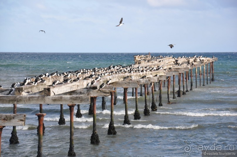 Случайно в Пунта-Аренасе...