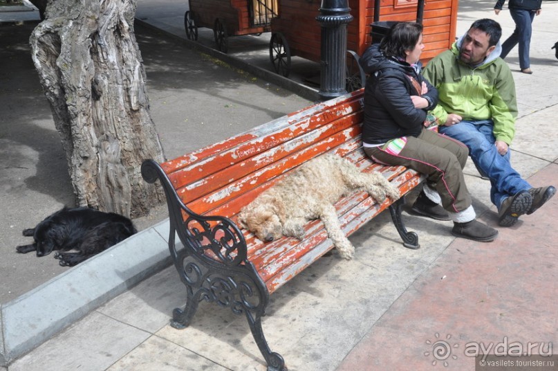 Случайно в Пунта-Аренасе...