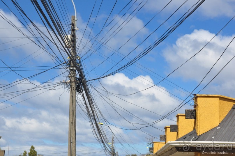 Случайно в Пунта-Аренасе...