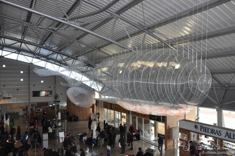 Случайно в Пунта-Аренасе...