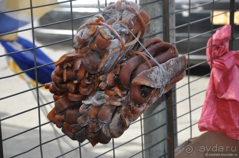 Случайно в Пунта-Аренасе...