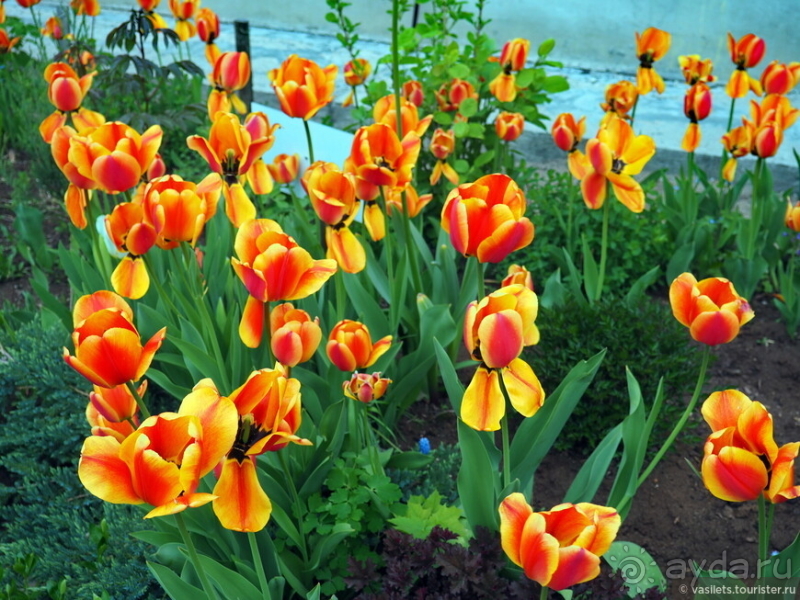 Банальный автобус-тур в Великий Новгород