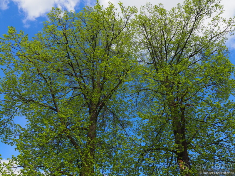 Банальный автобус-тур в Великий Новгород