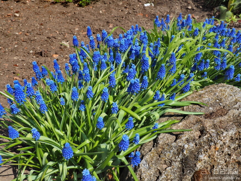Банальный автобус-тур в Великий Новгород