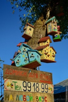 Рязанский семейный квест