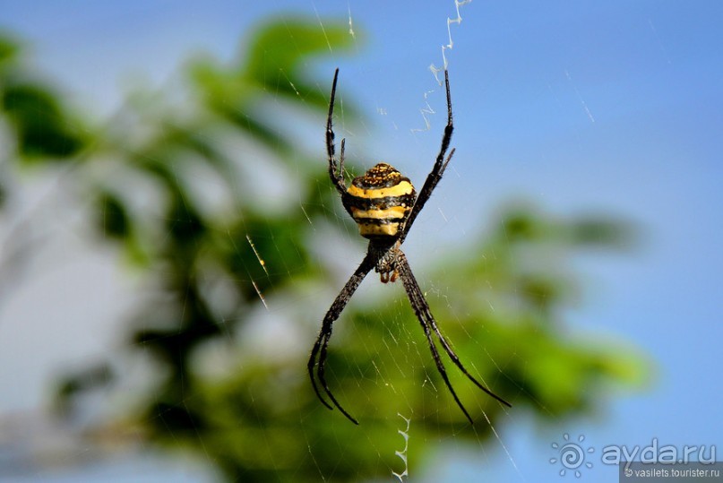 От Багана до Хехо долететь недалеко