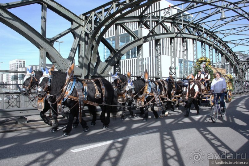 Мюнхен-фест. Случайная выборка