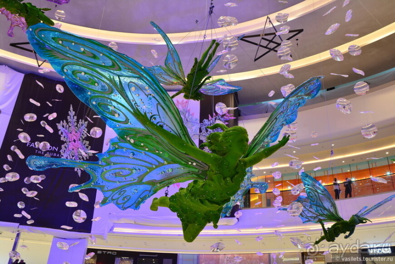 Сходить в круиз ОАЭ-Оман и не разориться