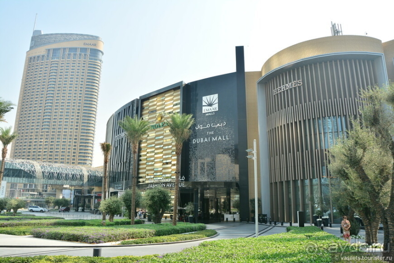 Сходить в круиз ОАЭ-Оман и не разориться