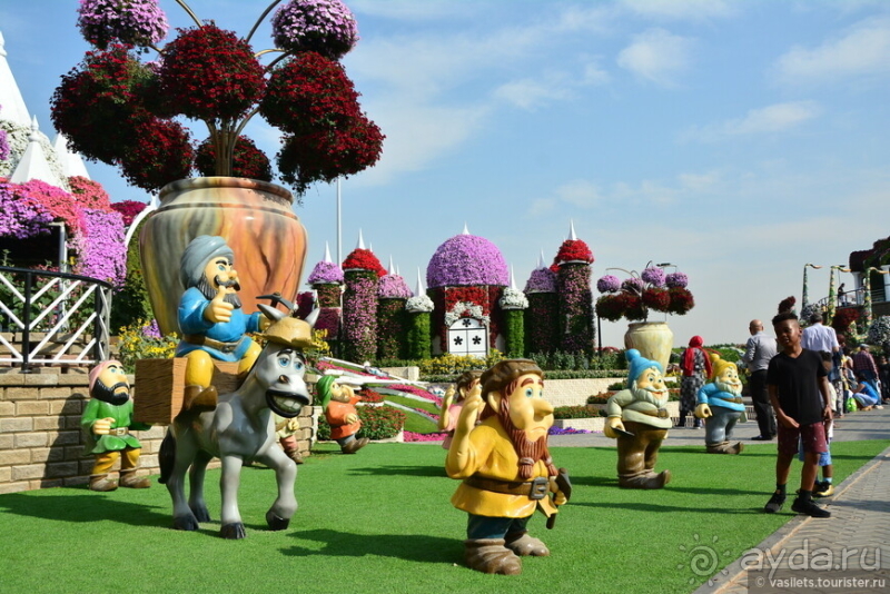 Сходить в круиз ОАЭ-Оман и не разориться