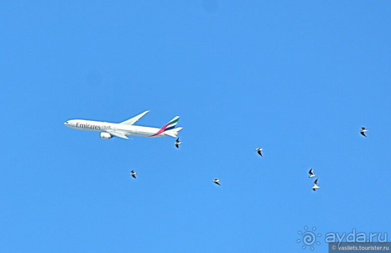 Сходить в круиз ОАЭ-Оман и не разориться