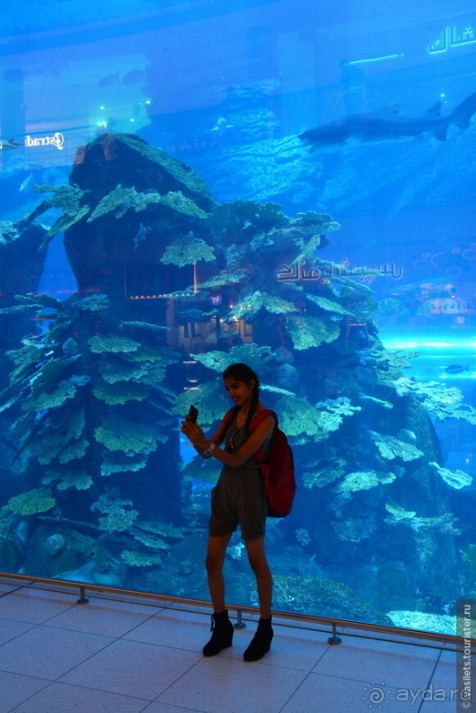 Сходить в круиз ОАЭ-Оман и не разориться