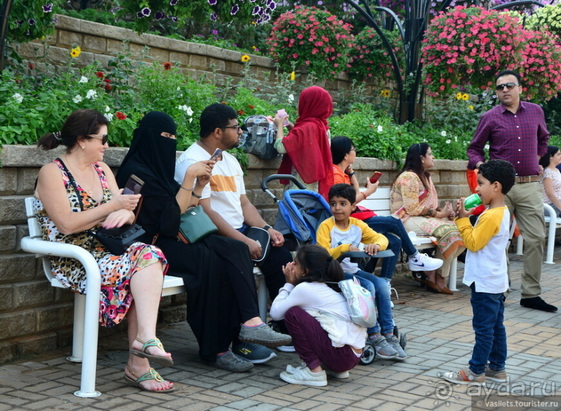 Сходить в круиз ОАЭ-Оман и не разориться