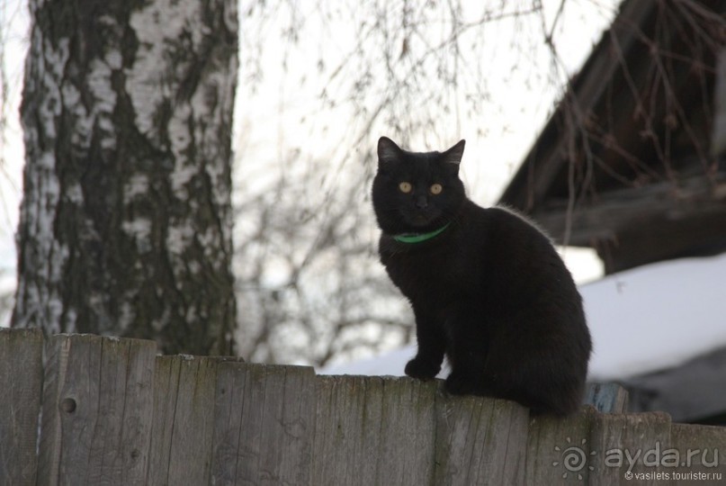 Ярославский квест на "броневике"