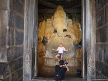 Хампи королевское