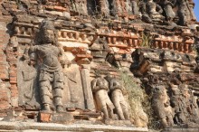 Хампи королевское