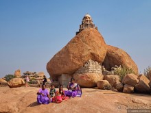 Хампи королевское