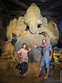 Хампи королевское