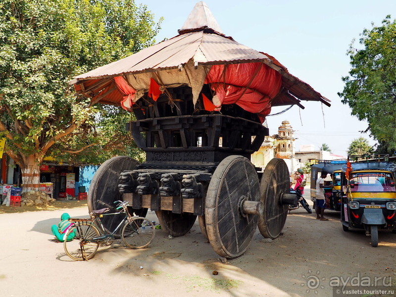 Хампи королевское