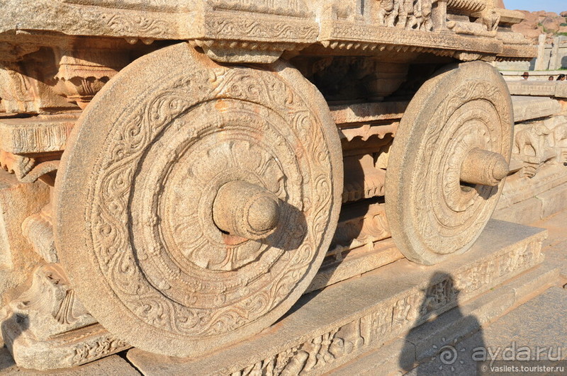 Хампи королевское