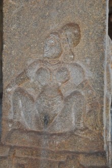 Хампи королевское