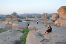 Хампи королевское