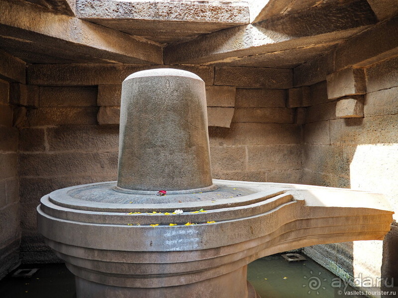 Хампи королевское