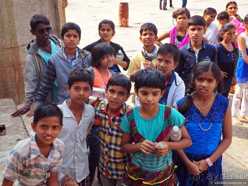 Хампи королевское