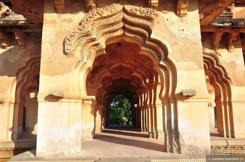 Хампи королевское