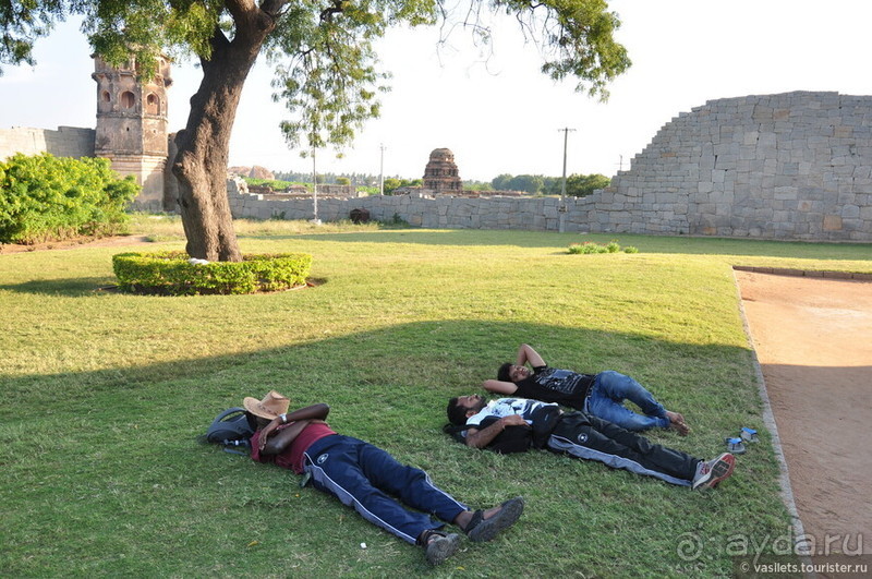 Хампи королевское