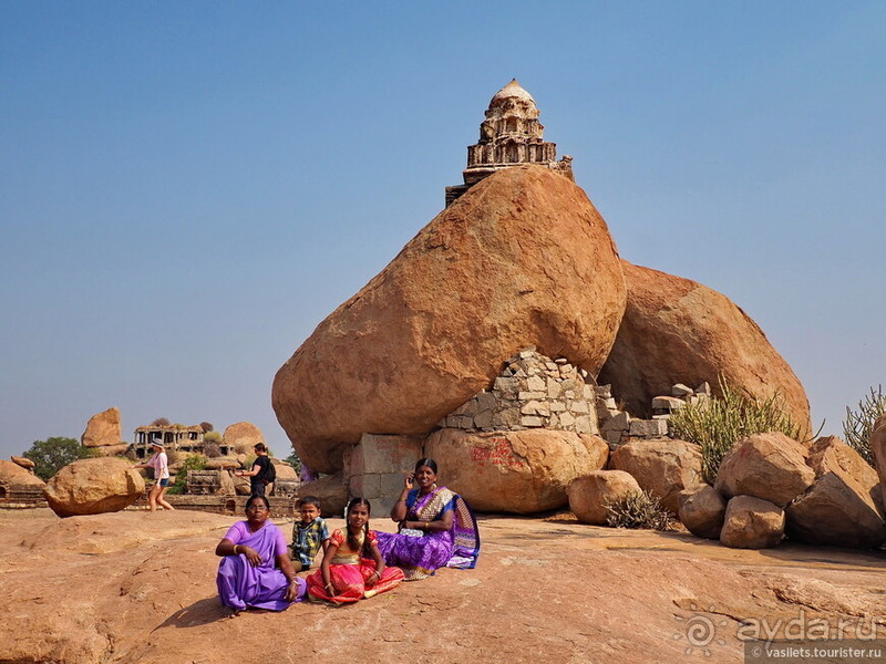 Хампи королевское