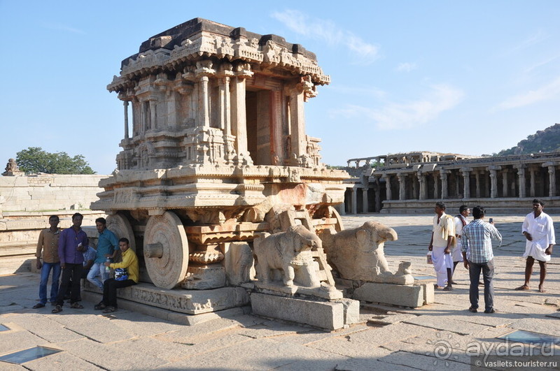 Хампи королевское