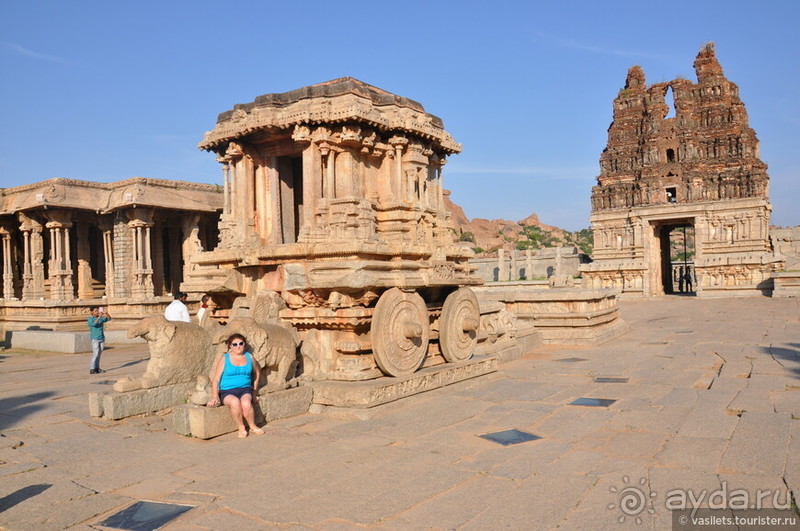 Хампи королевское